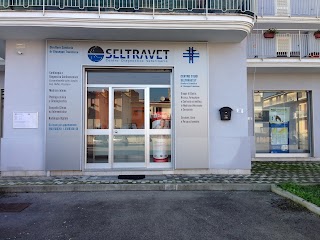 Centro Diagnostico Veterinario Seltravet