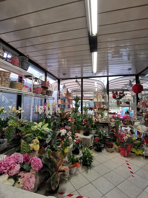 Rose e Cose - Piante, Fiori, Articoli da Regalo - Fioraio Genova