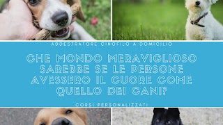 Addestratore cani Verona a domicilio - Addestramento educatore cinofilo e dog sitter diurno