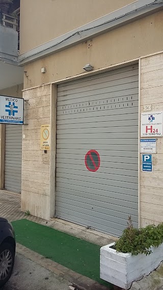 Pegaso Centro Veterinario