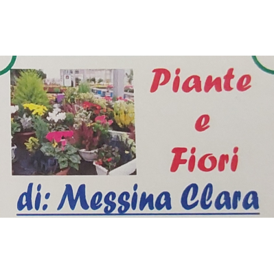 Piante e fiori di Clara Messina