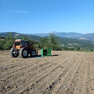 La Casetta azienda agricola e ospitalità rurale