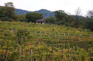 Enoteca "La Bottega del Nebbiolo di Dronero"