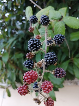 Snack bar - EUR Fermi