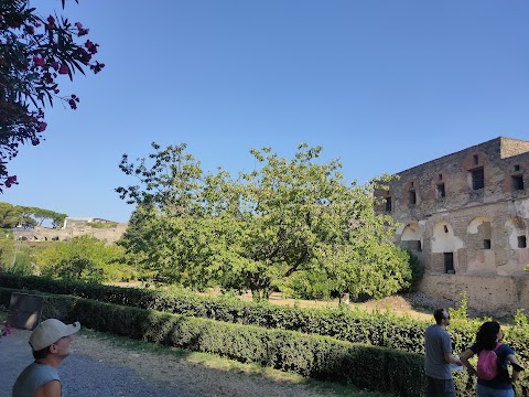 Pompeii Art Theater