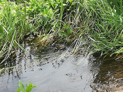 lago di settecannelle