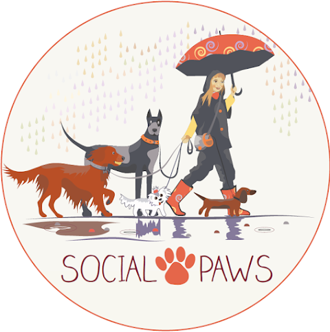 Social Paws