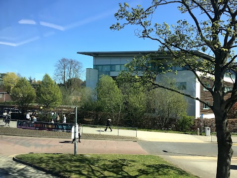 York College