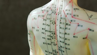 Sefton Acupuncture Clinic