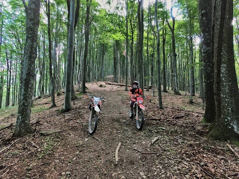 Enduro Dreamland