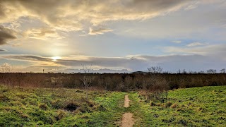 Harmondsworth Moor