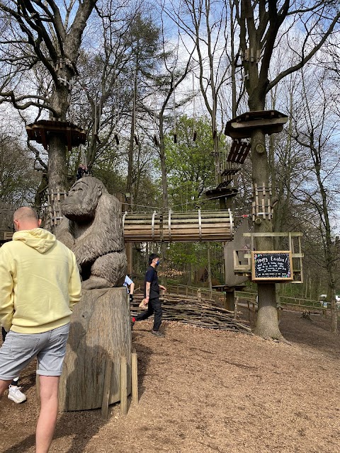 Go Ape Temple Newsam