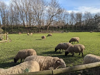 Mudchute Park and Farm