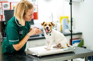 Bath Veterinary Group, The Chapel Veterinary Surgery