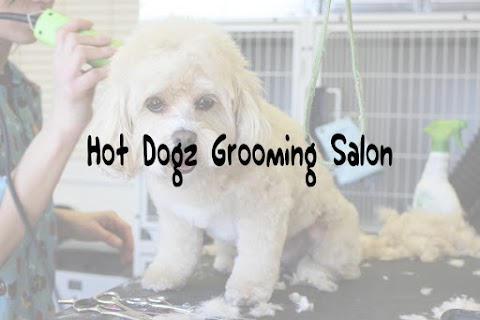 Hot Dogz Grooming Salon