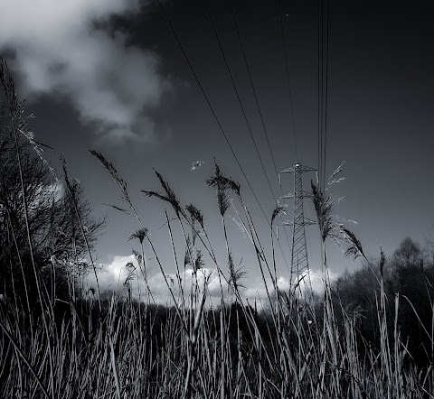 Howardian Local Nature Reserve