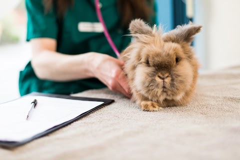 Bath Veterinary Group, Rosemary Lodge Veterinary Hospital