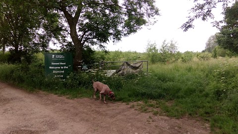 Soar Lane Diamond Wood