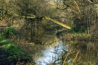 Fishlake Meadows Nature Reserve