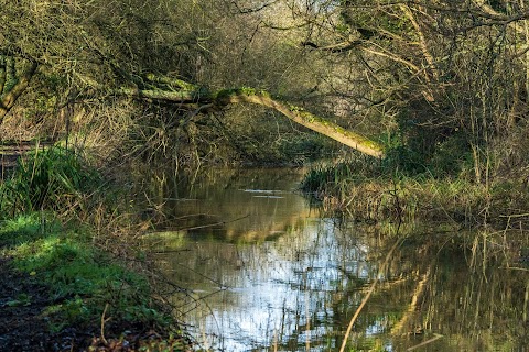 Fishlake Meadows Nature Reserve