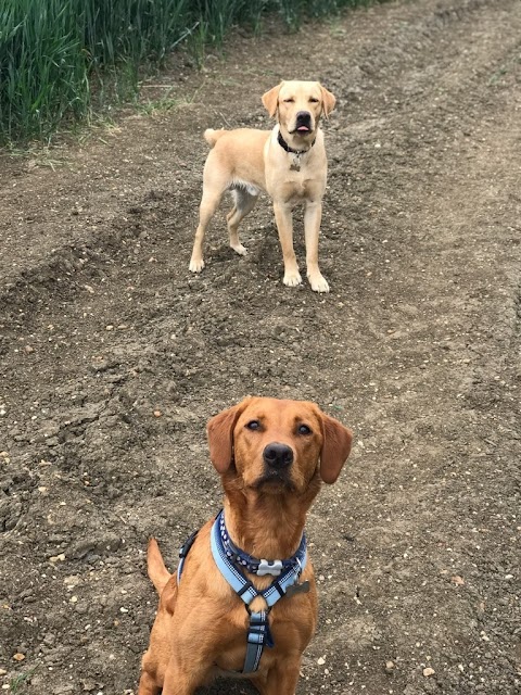 Oxford Pet Whisperers