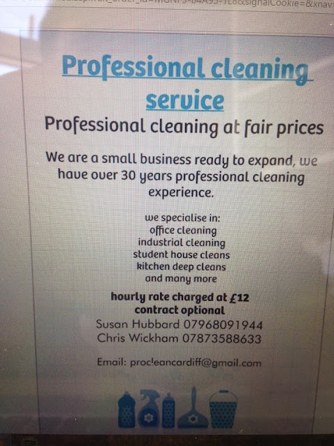 Professional Cleaning Service