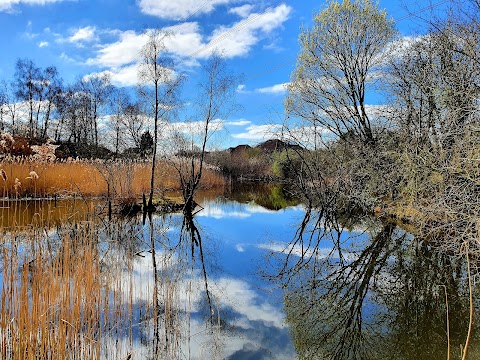 Jacksons Brickworks Local Nature Reserve