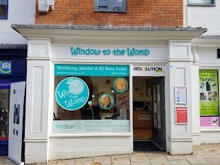 Window to the Womb Norwich