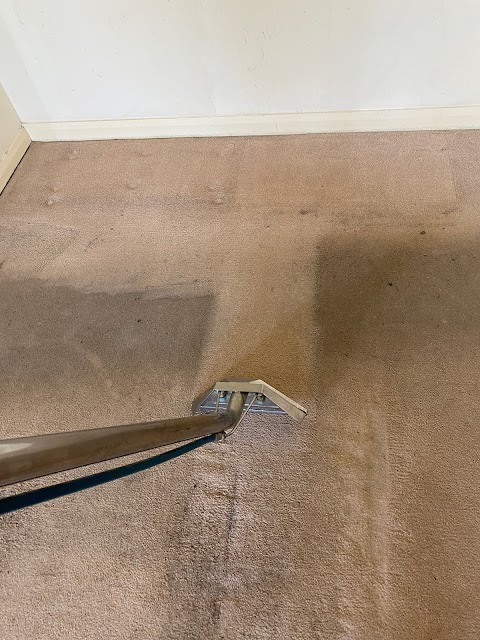 Professional House & Carpet Cleaning