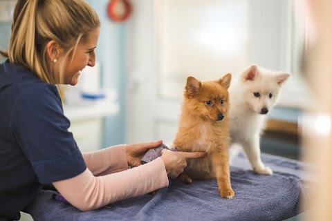 Christopher Carter Veterinary Surgery