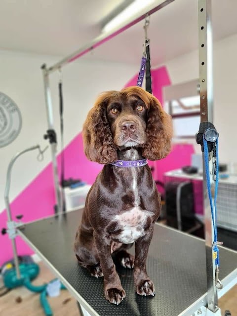 Teddy's Cuts Dog Grooming Cabin