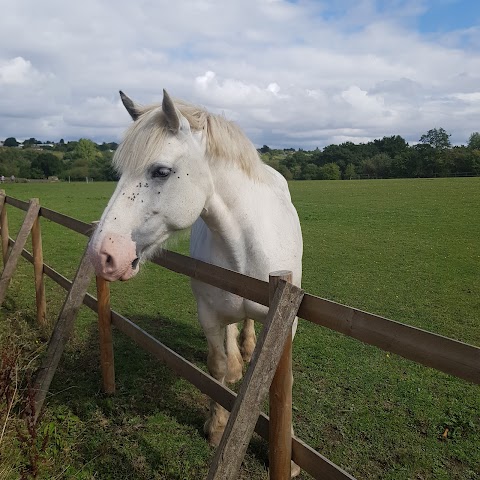 Woodgate Valley Country Park