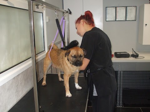 Chop and Tails dog grooming