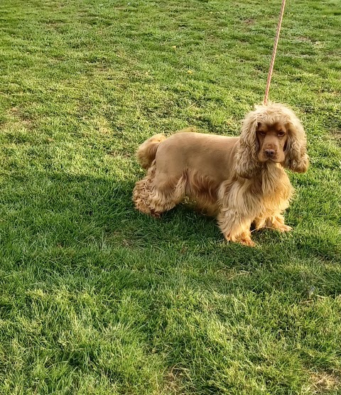 Perfect Paws (Melton Mowbray) Boarding Kennels & Cattery