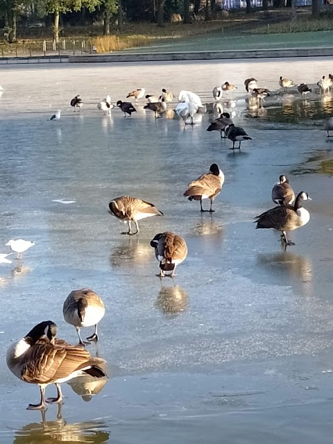 West Smethwick Park