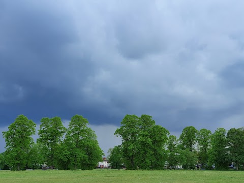 Figges Marsh