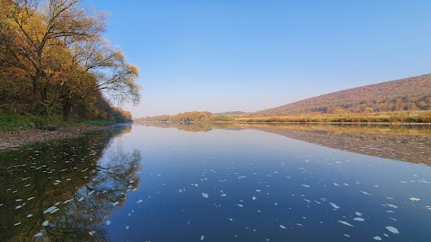 Дністровський каньйон ( в т.ч.заплави)