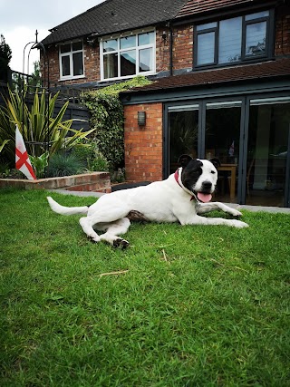 Santosha Boarding Kennels & Cattery