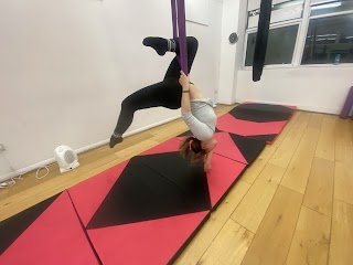 Brighton Aerial Arts