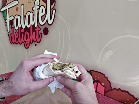 Falafel delight