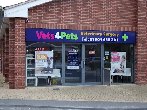 Vets4Pets York