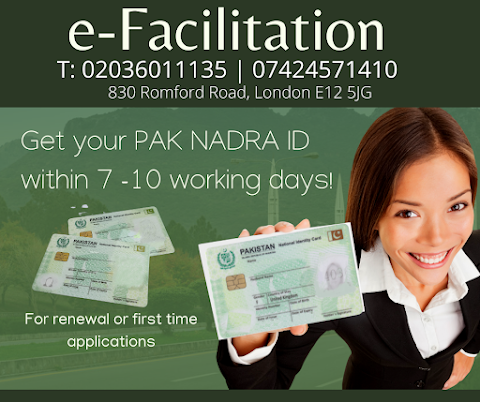 eFacilitation