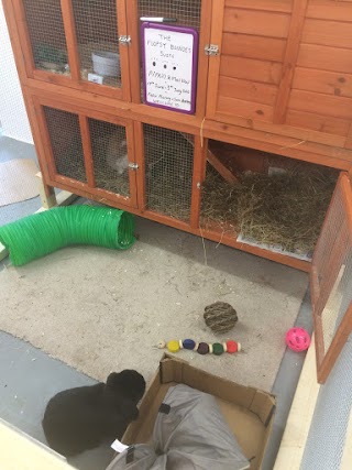 Hawthorne Bunny and Small Pet Hotel