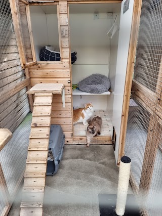 Eastham Woods Cattery