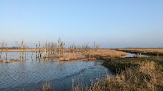 Hickling Broad