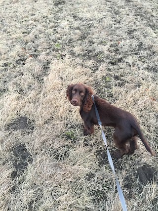 Kirkburton Walkies