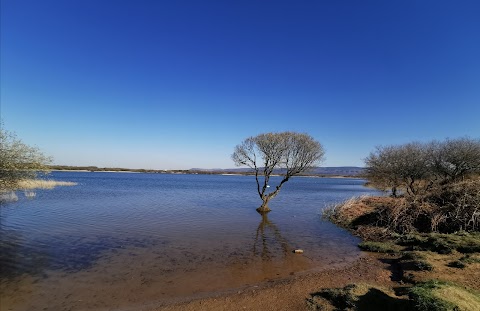 Kenfig Pool - South Hide