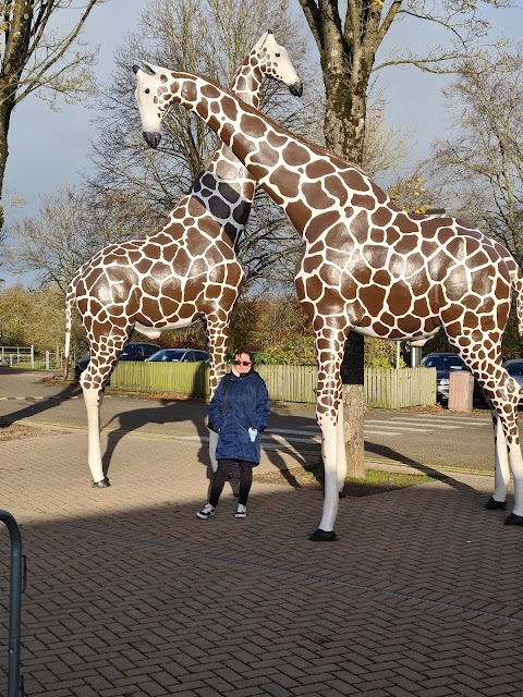 Fota Wildlife Park