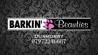 Barkin Beauties Dunmurry