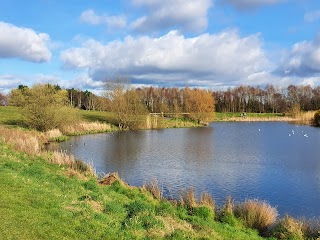 Tymon Park